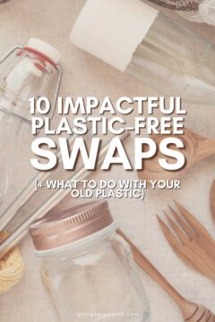 10 Impactful Plastic-Free Swaps (+ What To Do With Your Old Plastic) 10 Impactful Plastic-Free Swaps (+ What To Do With Your Old Plastic)