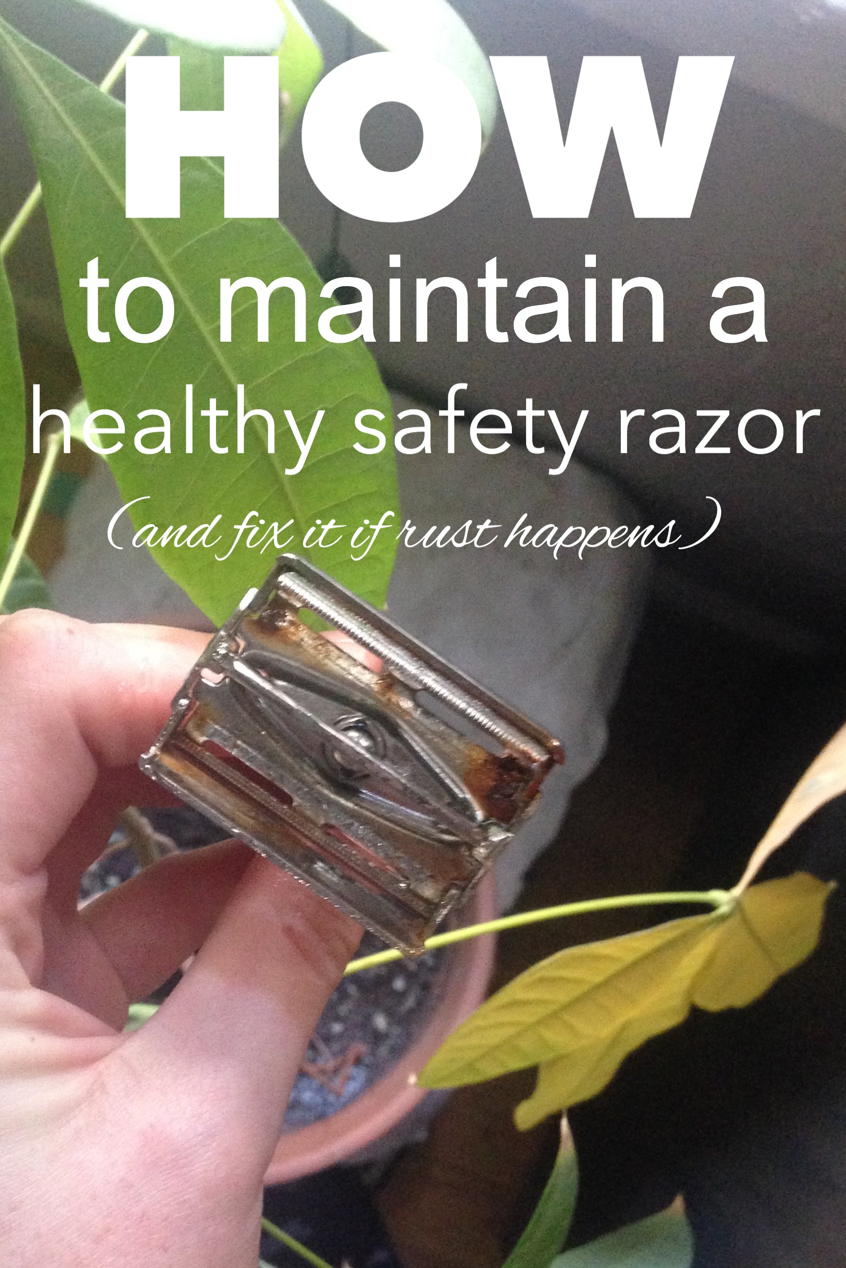 An image of a rusty razor with overlay text reading "how to maintain a healthy safety razor (and fix it if rust happens)" 