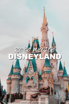 Zero Waste at Disneyland Zero Waste at Disneyland