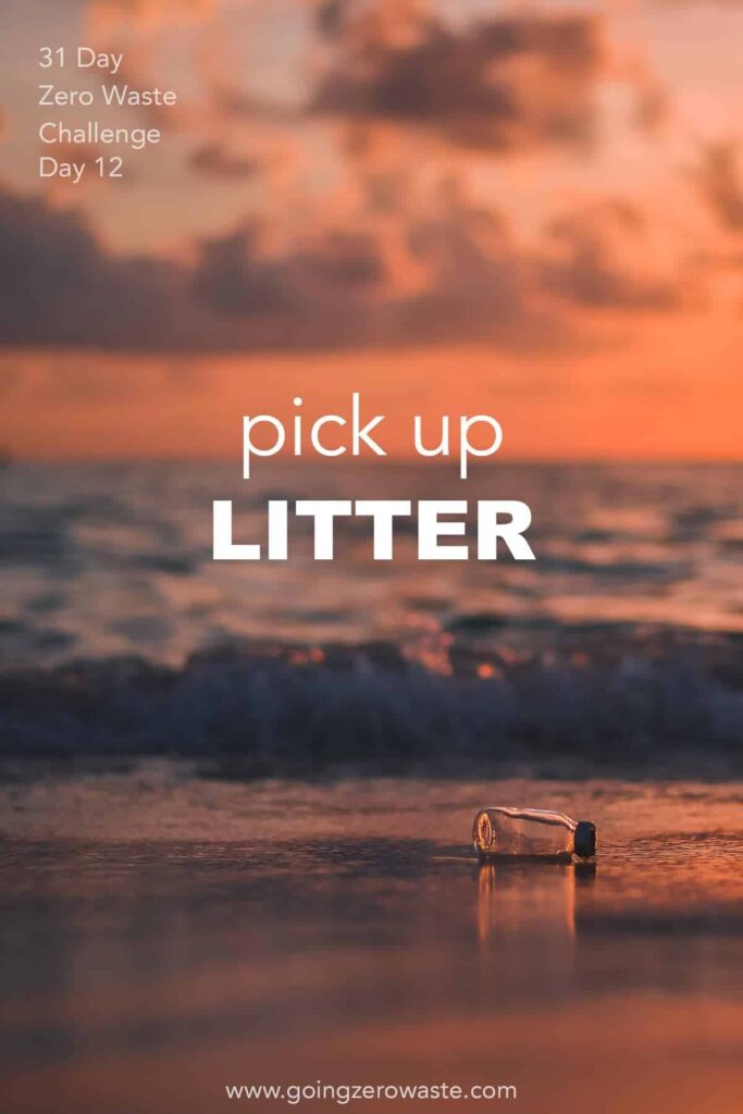 titled image (and shown): 31 Day Zero Waste Challenge Day 12 pick up litter