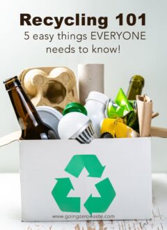 Recycling 101 - 5 Easy Things EVERYONE Needs to Know! Box of Recyclables