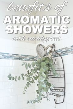 Benefits of Hanging Fresh Eucalyptus in the Shower The benefits of aromatic showers with eucalyptus from www.goingzerowaste.mom