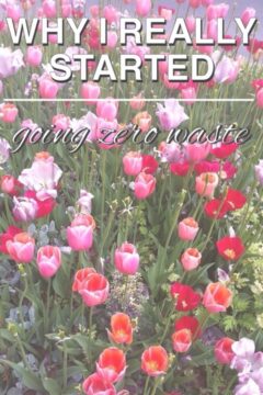 Why I Really Started Going Zero Waste Why I Really Started Going Zero Waste