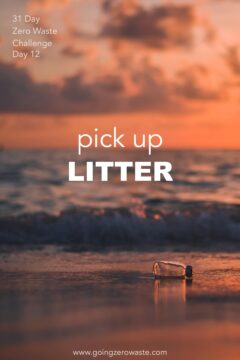 Day 12 of the Zero Waste Challenge: Picking Up Trash Pick up Litter - Day 12 of the Zero Waste Challenge