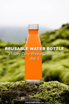 Day 3 of the Zero Waste Challenge: Use a Reusable Water Bottle Bring a Reusable Water Bottle - Day 3 of the Zero Waste Challenge