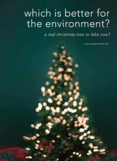 Choosing An Eco Friendly Christmas Tree Is A Real Or Fake Christmas Tree Better For The Environment?