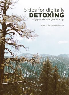 Why I Did a Digital Detox and You Should Too 5 Tips for Digitally Detoxing and Why You Should Give it a Try