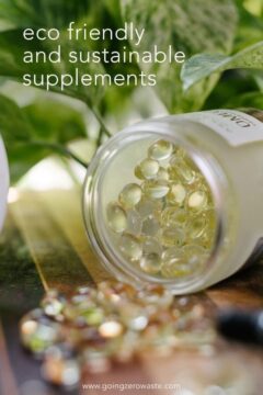 Sustainable Supplements: Best Vitamin Brands Eco Friendly and Sustainable Supplements