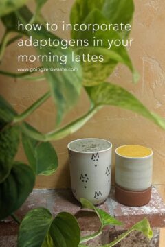 How to Incorporate Adaptogens in Your Morning Lattes How to Incorporate Adaptogens in Your Morning Lattes