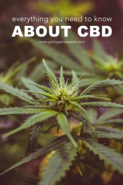 What is CBD? Everything You Need to Know What is CBD? Everything You Need to Know