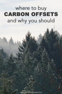 Where to Buy Carbon Offsets and Why You Should Where to Buy Carbon Offsets and Why You Should