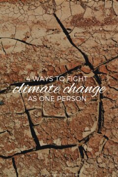 4 Ways to Fight Climate Change as One Person 4 Ways to Fight Climate Change as One Person