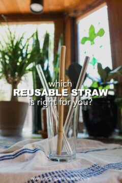 Which Reusable Straw is Right for You? Which Reusable Straw is Right for You?