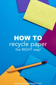 Paper Recycling 101 How to recycle paper the right way