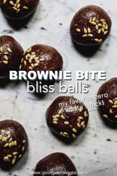 Vegan Brownie Bites Brownie Bite Bliss Balls