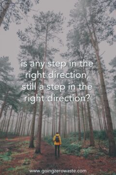 Is any step in the right direction, really a step in the right direction? Is any step in the right direction, really a step in the right direction?