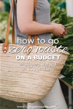 How to Go Zero Waste on a Budget How to Go Zero Waste on a Budget