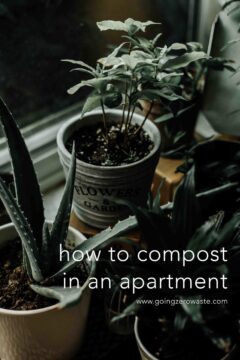 How To Compost In An Apartment Composting in apartments