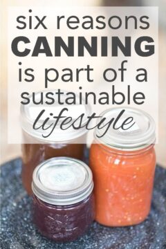 6 Reasons To Preserve Food By Canning six reasons canning is part of a sustainable life
