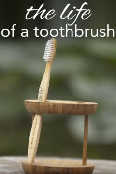 The Life of a Toothbrush the life of a toothbrush