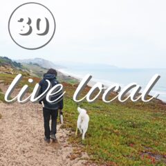 shop local, shop small