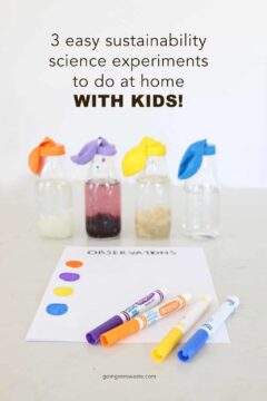 3 Simple Sustainability Science Experiments To Do At Home With Kids 3 Simple Sustainability Science Experiments To Do At Home With Kids