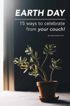 How to Celebrate Earth Day at Home | 15 Things You Can Do for the Planet How to Celebrate Earth Day at Home