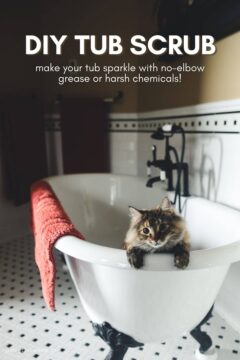 DIY Tub Cleaner Scrub DIY Tub Scrub