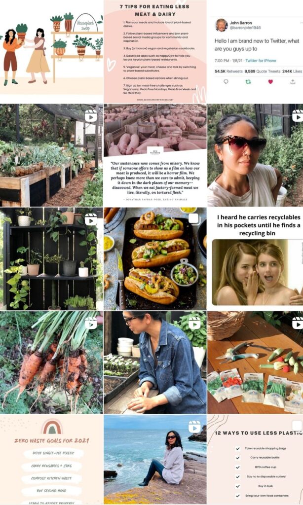 Eco Warrior Princess / Eco friendly living: 15 people who will motivate you and inspire you! from www.goingzerowaste.mom #zerowaste #ecofriendly #instagram #influencers #sustainableliving