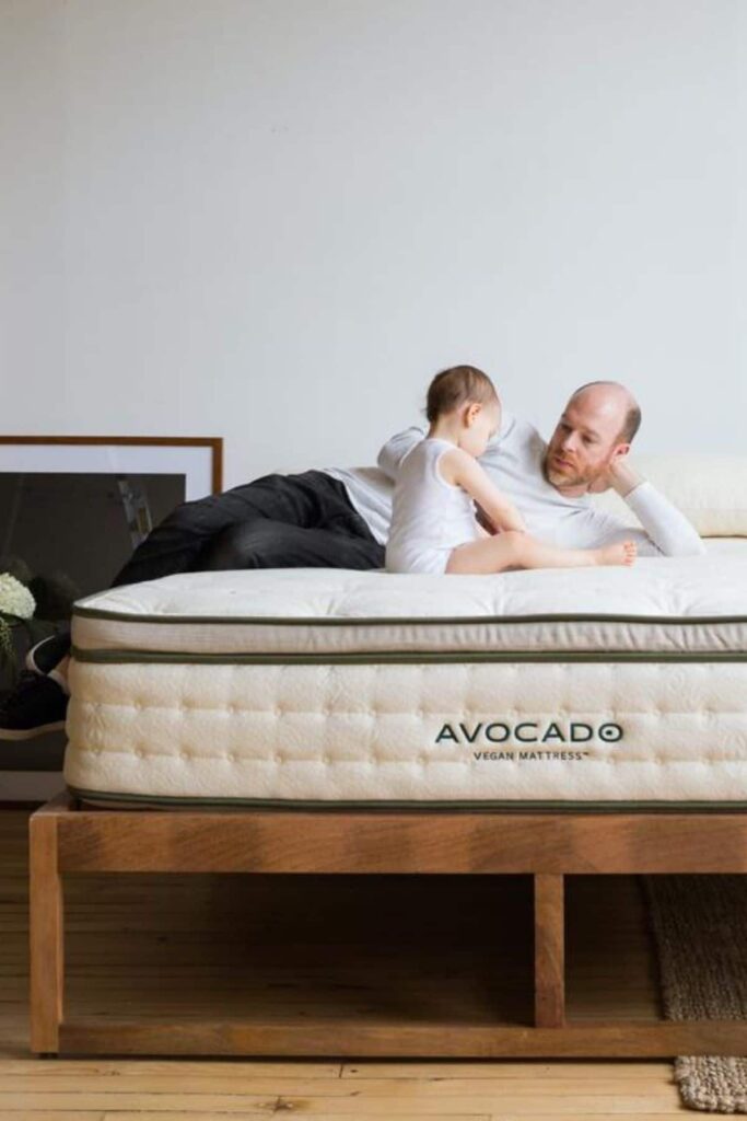 all natural, sustainable and organic mattresses for any eco friendly home. Avocado mattress - the futon shop