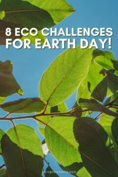 8 Eco Challenge Ideas for Earth Day 8 Eco Challenges for Earth Day