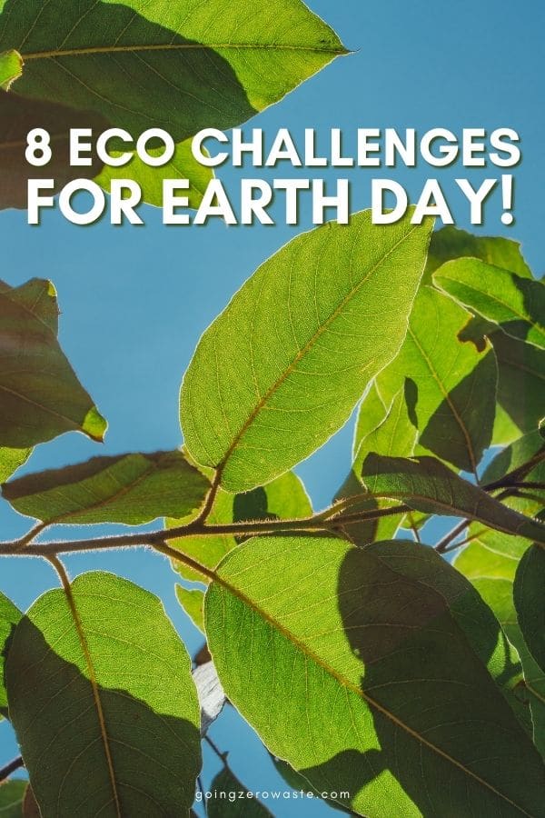 Eco challenge: photo of green leaves against a blue sky with overlay text reading "8 eco challenges for Earth Day" 