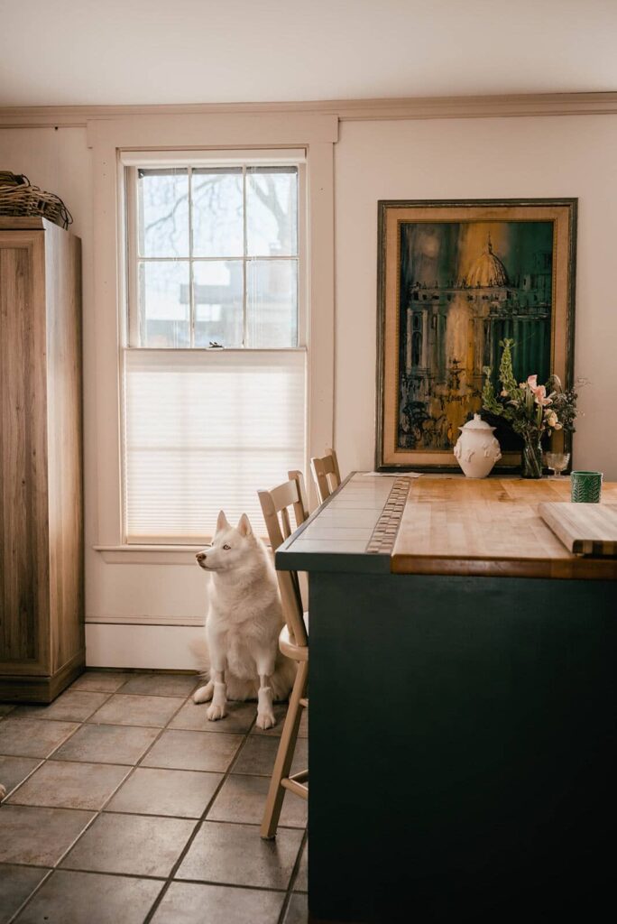 Cellular Shades Review: How Honeycomb Shades Help With Energy Efficiency