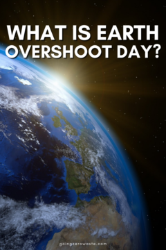 Everything You Need to Know About Earth Overshoot Day What is Earth Overshoot Day?