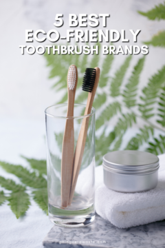 5 Best Eco Friendly Toothbrush Brands 5-BEST-ECO-FRIENDLY-TOOTHBRUSH-BRANDS