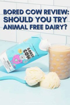 Bored Cow: What Is Animal Free Dairy Milk + Should You Try It? Bored Cow Review: What Is Animal-Free Dairy Milk + Should You Try It?