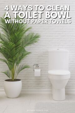 The Best Way to Clean a Toilet (without Paper Towels) How to Clean a Toilet Bowl Without Paper Towels