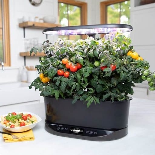 Aerogarden zero waste gifts