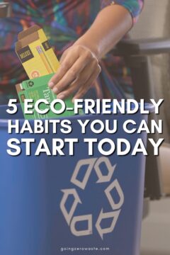 5 Eco-Friendly Habits for a Sustainable Lifestyle ECOFRIENDLYHABITS