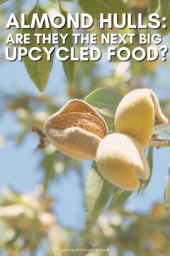 Why Almond Hulls Will Be The Next Big Upcycled Food Why Almond Hulls Will Be The Next Big Upcycled Food