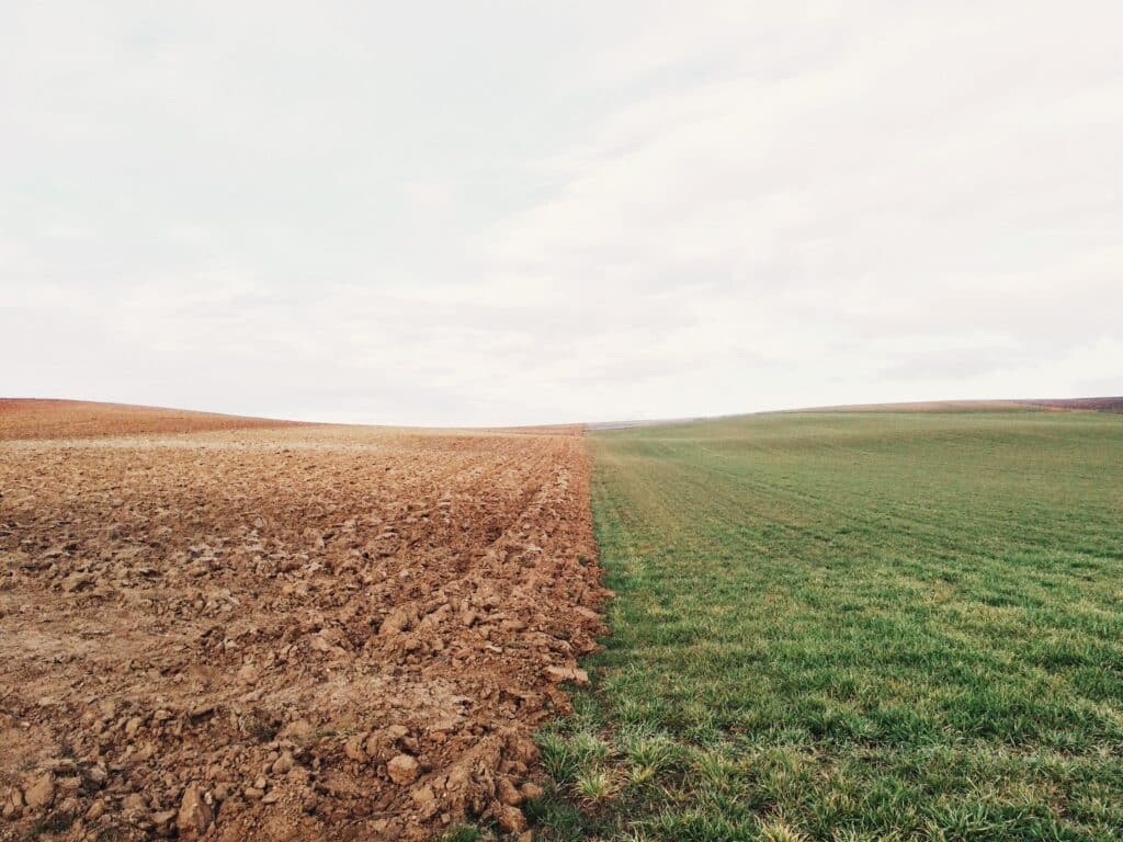 An image of dead, over-plowed dirt meeting a green grass field in a straight line to illustrate Earth over day.