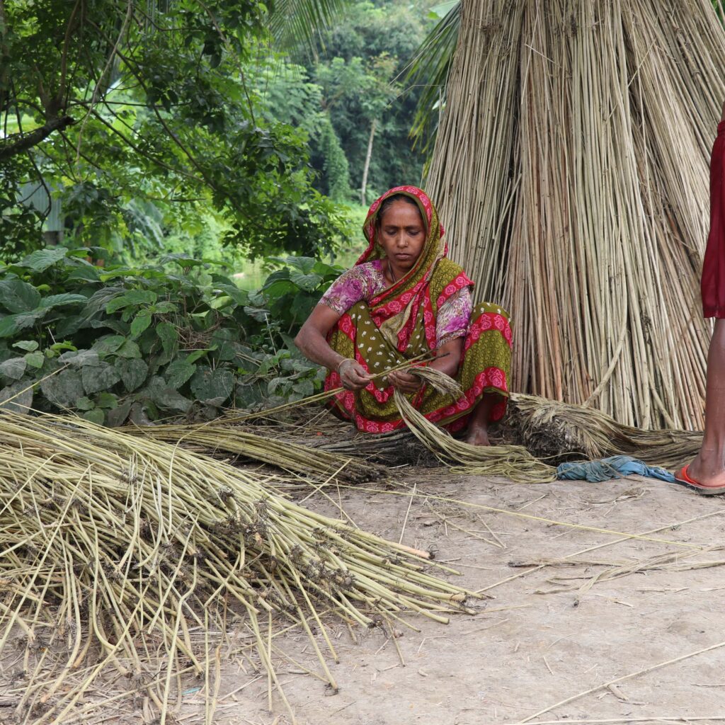 What is Jute? And Is It Sustainable?