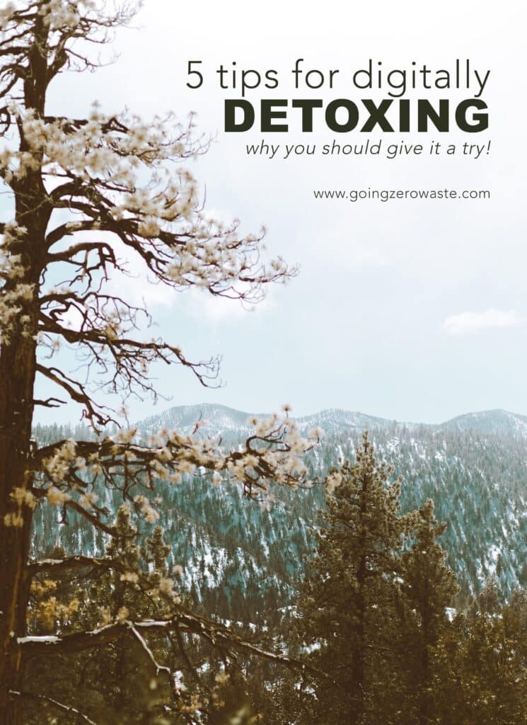 Digital detox - a nature scene with overlay text reading "5 tips for digitally detoxing: why you should give it a try!" 