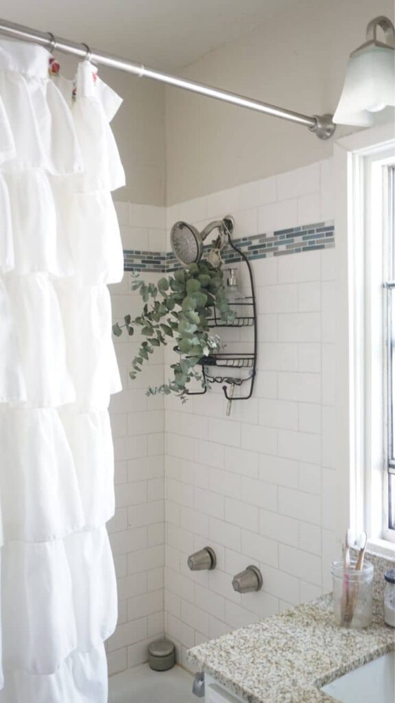 Fresh eucalyptus for shower to illustrate the benefits of eucalyptus in shower. 