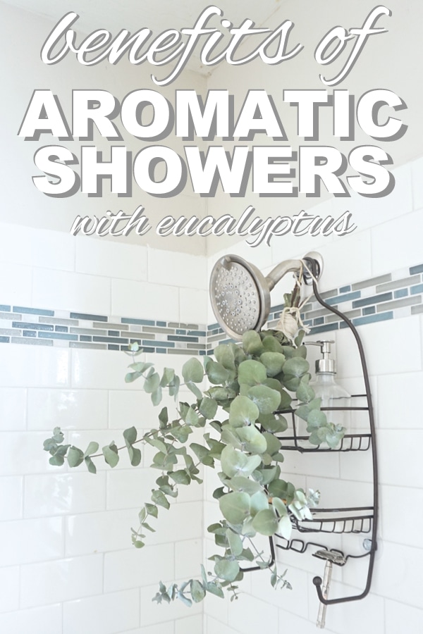 Photo of eucalyptus in shower with overlay text reading "benefits of aromatic showers with eucalyptus"