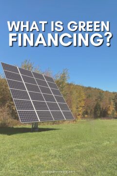Green Finance 101: Investing in a Sustainable Future Green Finance 101: Investing in a Sustainable Future