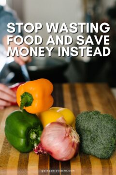 How to Stop Wasting Food (And Save Money) How to Stop Wasting Food (And Save Money)